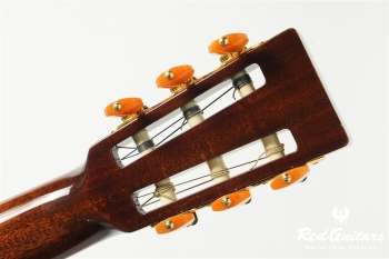 00-Nylon w/FISHMAN Matrix VT Enhance